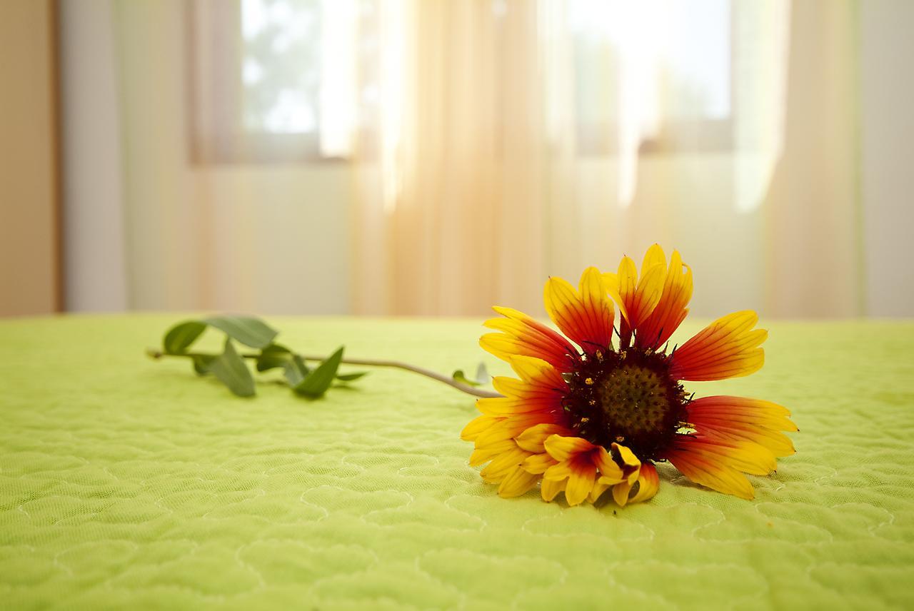 Apartments Valentina-B Hoek van Holland Ngoại thất bức ảnh